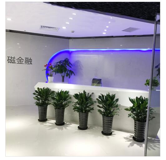 上海植物租赁的服务标准
